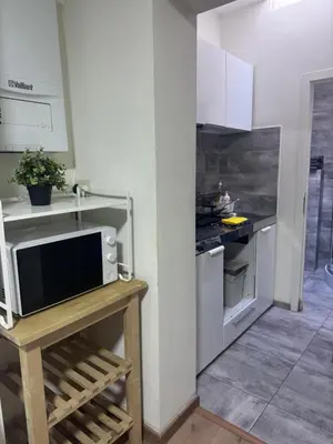 a kitchen with white cabinets and a microwave on a table at Сarnot Apartments ZOO Area in Antwerp