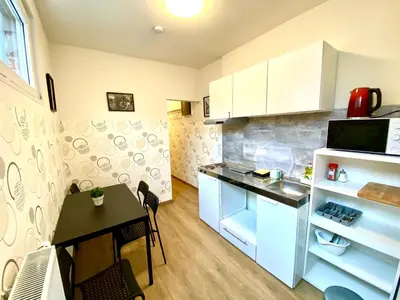 a small kitchen with a table and a counter at Сarnot Apartments ZOO Area in Antwerp