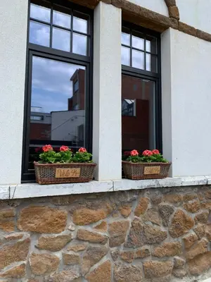 two windows with flowers in baskets on a stone wall at Vélo 94 in Geel