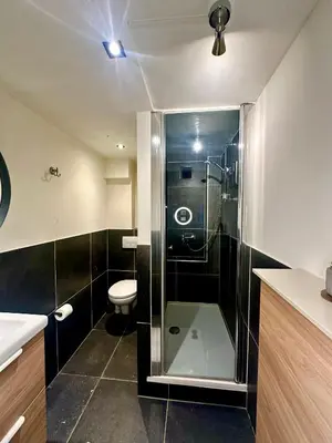 a bathroom with a shower and a toilet at Luxury Suites Historic Center by Rikas Hotels in Antwerp