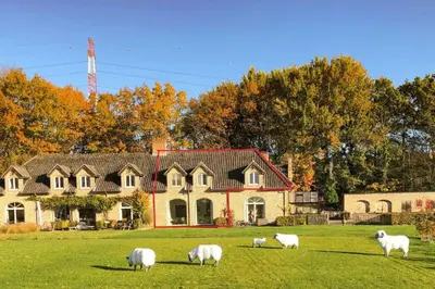 a group of sheep grazing in a field in front of a house at Gastenhuis prachtige Historische Vierkant Hoeve in Broechem