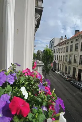 a bunch of flowers sitting on a window sill at Paulus41 in Antwerp