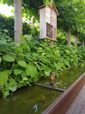a bird bath and a bird house in a pond at Hotel Essenza in Puurs