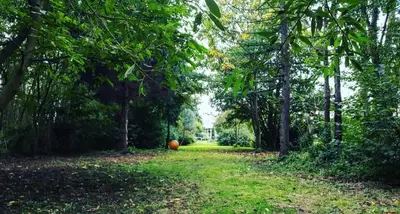 a pumpkin in the middle of a field with trees at De linderd in Aalst