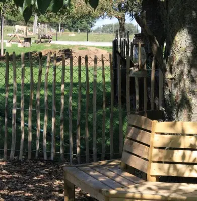 a wooden bench sitting under a tree next to a fence at B&B Den Biesthoek in Grimbergen
