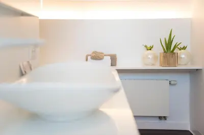 a bathroom with white walls and a shelf with plants at B&B Villa Tartine in Puurs