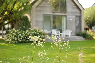 a house with a green yard with a plant in the foreground at B&B Villa Tartine in Puurs