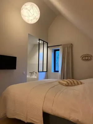 a bedroom with a large bed and a large mirror at The Pine House B&B in Schoten