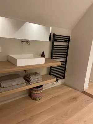 a bathroom with a white sink on a shelf at The Pine House B&B in Schoten