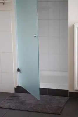 a glass door in a bathroom with a rug at B&B Tempelhof in Ghent