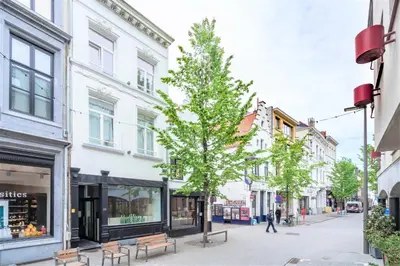 a tree on a city street with buildings at The Fashion Street Apartments in Antwerp
