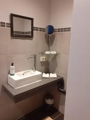a bathroom with a sink and a mirror at Wenceslas cobergher appartement I in Boutersem