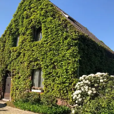 B&B Carisma