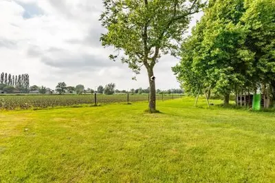 a tree in the middle of a grass field at Vakantiehuis Wandelen en fietsen in de Kalkense Meersen dichtbij Gent in Laarne