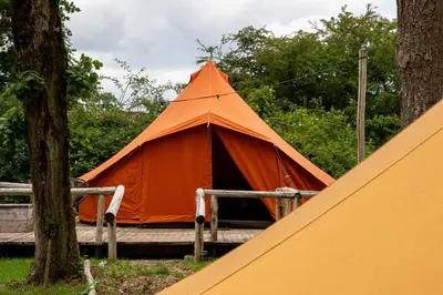 an orange tent is set up in the woods at AMANI - Aap in Lichtaart