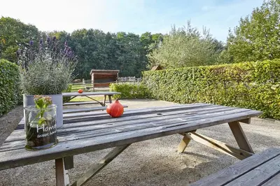 a wooden picnic table with a drink on it at B&B Zinnen en Minnen in Herselt