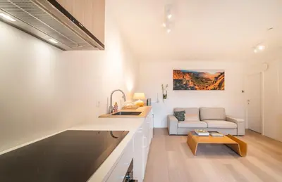 a kitchen with a sink and a living room with a couch at La Vista in Tervuren