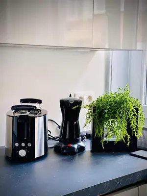 a kitchen counter with a blender and a plant on it at Opera - Central Station, Flixbus, Airport Shuttle in Antwerp
