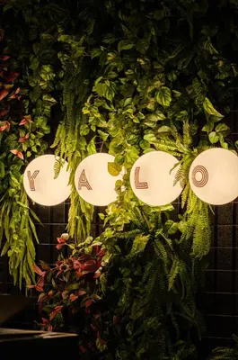 a group of lights hanging from a plant at Yalo Urban Boutique Hotel Gent in Ghent