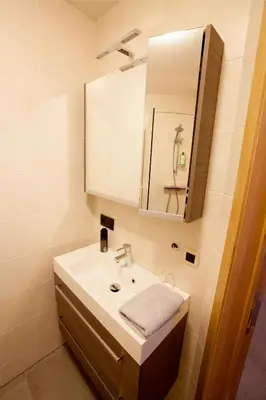 a bathroom with a sink and a mirror at B&B D'Hollehoeve in Heist-op-den-Berg