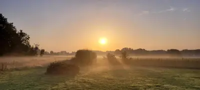 a misty field with the sun setting in the background at B&B D'Hollehoeve in Heist-op-den-Berg