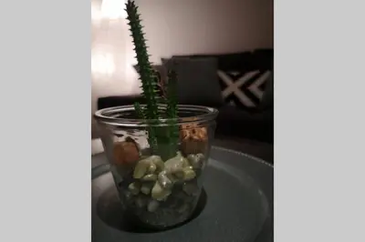 a vase filled with rocks and plants on a table at Easy comfort in Brussels