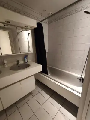 a bathroom with a sink and a bath tub at Belga Apartment 3 bedrooms. in Antwerp