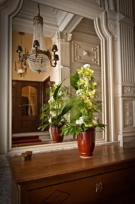 two potted plants on a wooden table in a room at B&B The Baron in Antwerp