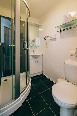 a bathroom with a toilet and a shower and a sink at Hotel De Kalvaar in Ninove