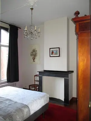 a bedroom with a fireplace and a bed and a chandelier at Apartments Suites in Antwerp in Antwerp