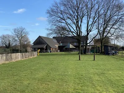 a tree in a field with a house in the background at De Lieshoeve in Arendonk