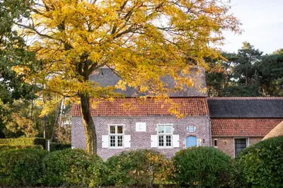 a large brick house with a tree in front of it at Beddermolen - Molenhuis op historisch erfgoeddomein in Westerlo