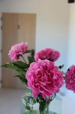 a glass vase filled with pink flowers on a table at B&B Biesvenhof in Merksplas