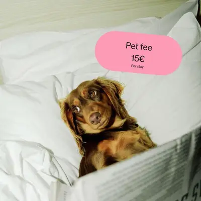 a dog laying in a bed with a speech bubble at Citybox Antwerp City Center in Antwerp