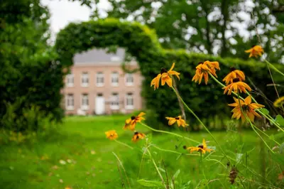 a bunch of yellow flowers in front of a building at Amand'eau - zwemvijver, zonneterras, grote tuin in Sint-Amands