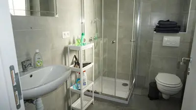 a bathroom with a shower and a sink and a toilet at Roosevelt Apartments. in Antwerp