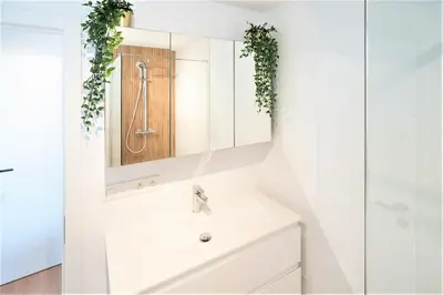 a bathroom with a sink and a mirror at Saint Pauls Central Residence in Antwerp