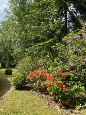 a row of colorful flowers in a garden at B&B Miranoza in Oud-Heverlee