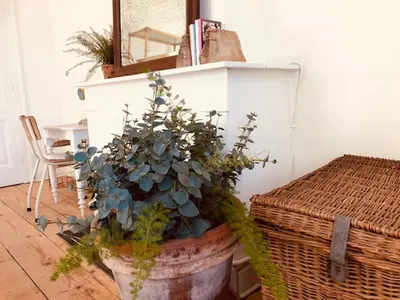 a potted plant in a pot next to a table at Logies Lapin in Antwerp