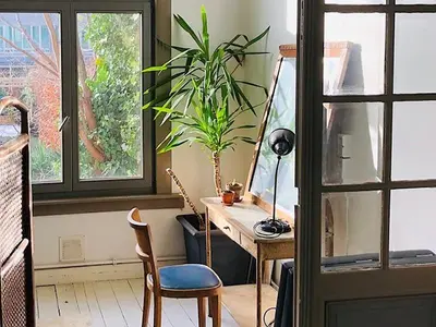 a desk with a plant in a room with a window at Logies Lapin in Antwerp