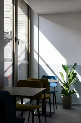 a meeting room with chairs and a table and a plant at B&B HOTEL Antwerpen Centrum in Antwerp