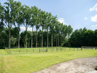 a row of wooden fences in a field with trees at b & b St-Hubert in Sint-Martens-Lennik