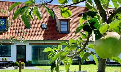 an apple tree in front of a house at b&b Meilrijk in Diest