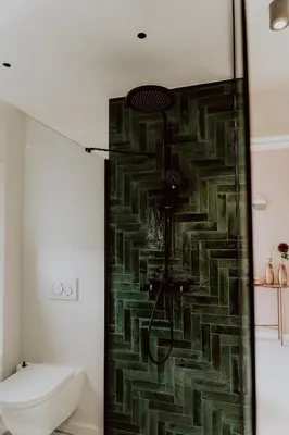 a bathroom with a shower with a toilet at Ramslo in Herselt