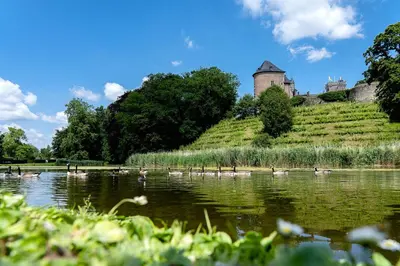 a flock of ducks on a lake in front of a castle at Wellness Suite B&B L'O Reine in Sint-Pieters-Leeuw