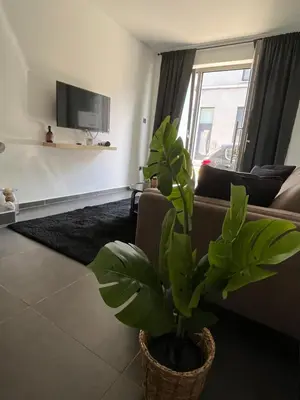 a living room with a couch and a plant at FDS Cosy Apartment in Ghent