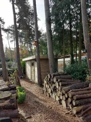 a pile of logs in front of a building with trees at B&B Altijd Zomer in Nijlen