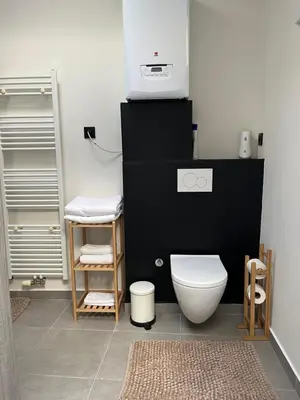 a bathroom with a white toilet and a black wall at FDS Cosy House in Ghent