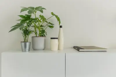 three plants sitting on top of a white cabinet at Trendy Apartments as Base to Discover Ghent in Ghent
