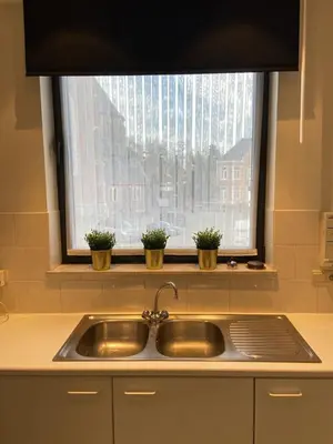 a kitchen sink with two potted plants in a window at Apartment de Kerk in Sint-Gillis-Waas